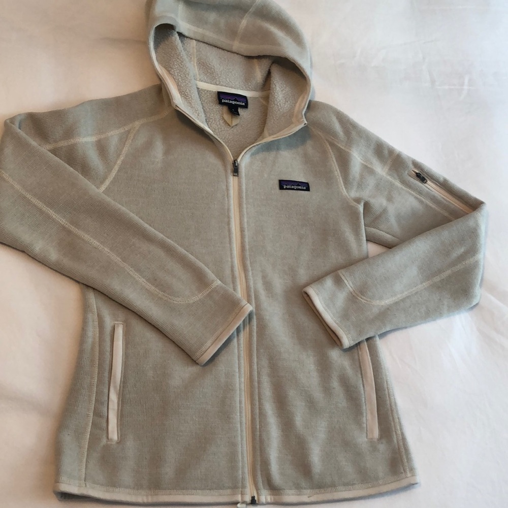 Patagonia Better Sweater Hoodie